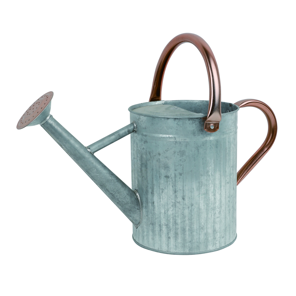 Regadera Galvanizada 3,8Lts Green Leaf