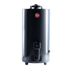Termotanque a Gas Rheem 80 Lts TGNP080RH