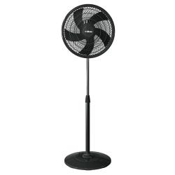 Ventilador de Pie Liliana 16" Negro VP16P