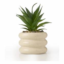 Adorno Cerámico con Planta Cool Basic