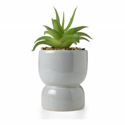 Adorno Cerámico con Planta Cool Basic